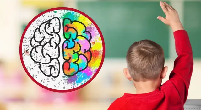 La anemia por deficiencia de hierro es la forma más común de anemia en los niños.