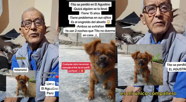 Ayudemos a encontrar a Tito.