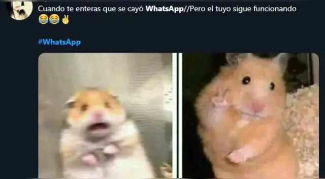 El problema duró alrededor de 40 minutos, según datos del sitio Downdetector. El problema duró alrededor de 40 minutos, según datos del sitio Downdetector.