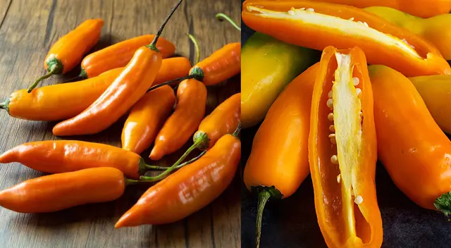 TasteAtlas pone al ají amarillo como el mejor vegetal. TasteAtlas pone al ají amarillo como el mejor vegetal.