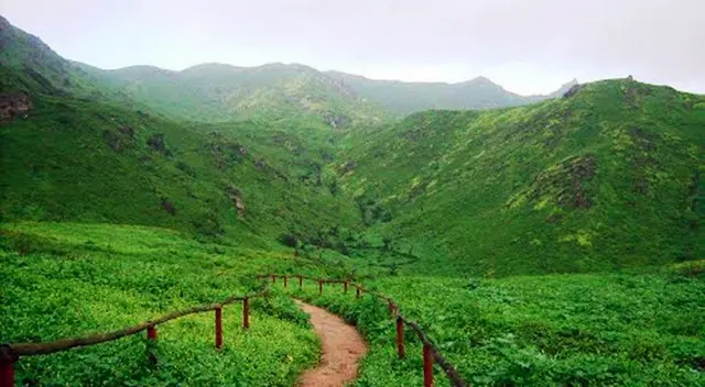 Fiestas Patrias 2023: presupuesto, tips y recomendaciones para visitar las Lomas de Lachay Fiestas Patrias 2023: presupuesto, tips y recomendaciones para visitar las Lomas de Lachay