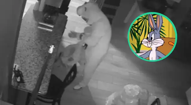 Las imágenes fueron compartidas en la cuenta de Facebook de la policía local. Las imágenes fueron compartidas en la cuenta de Facebook de la policía local.