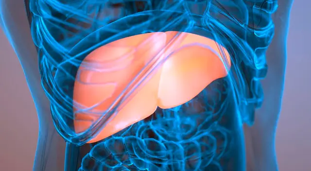 Descubre los trucos caseros para ayudar al funcionamiento del hígado.