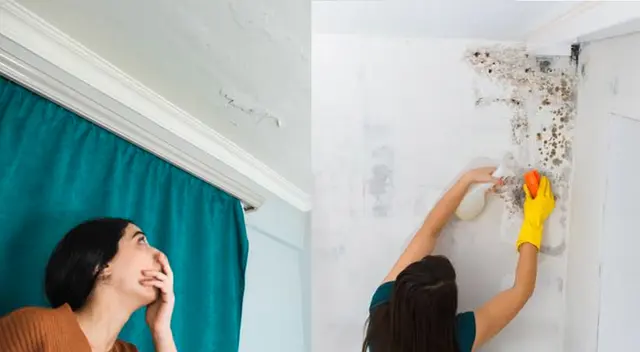 Consejos útiles que ayudarán a vivir mejor.