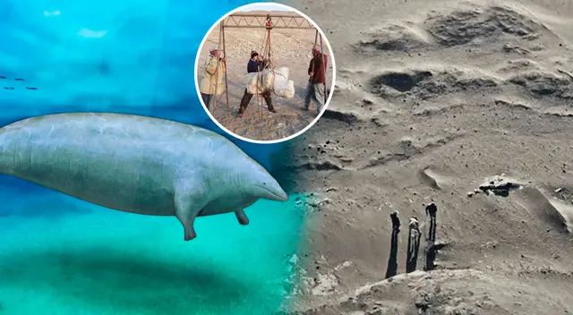 Un descubrimiento histórico se dio en el desierto de Ica. Un descubrimiento histórico se dio en el desierto de Ica.