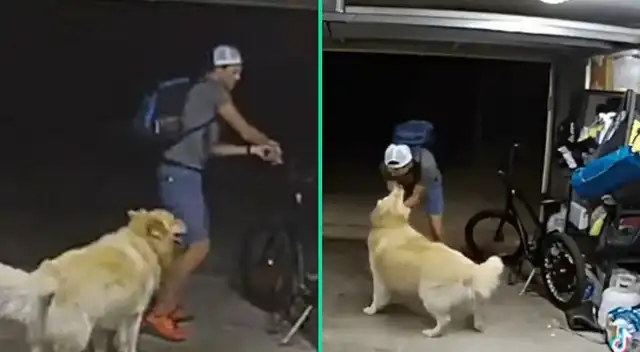 La inusual escena sucedió en Estados Unidos.