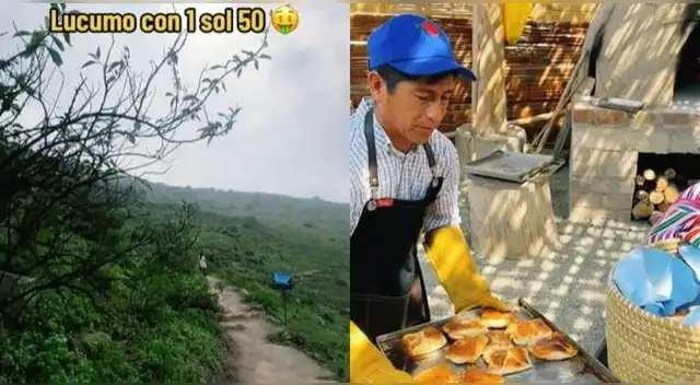 Peruano revela cómo llegar a las Lomas de Lúcumo con 1 sol 50 y datazo es viral en TikTok.