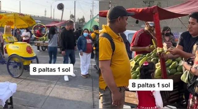 Vendedor peruano ofrece 8 paltas por 1 sol y ofertón deja en shock a miles en TikTok.