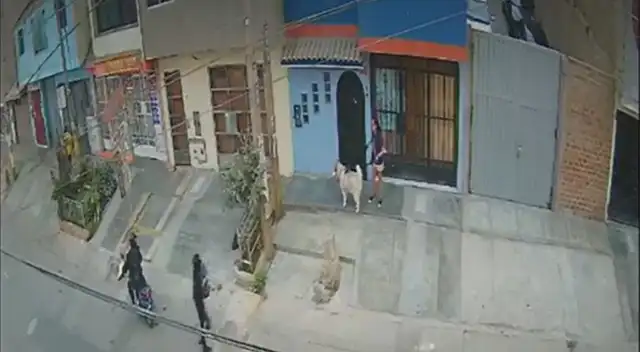 El hecho quedó registrado en las cámaras de seguridad de la zona.