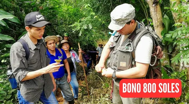 El pago del Bono 800 soles será de manera única y excepcional.