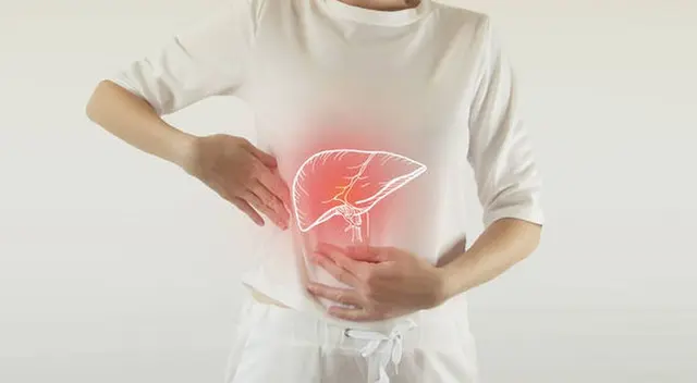 El consumo excesivo y prolongado de alcohol puede dañar el hígado.