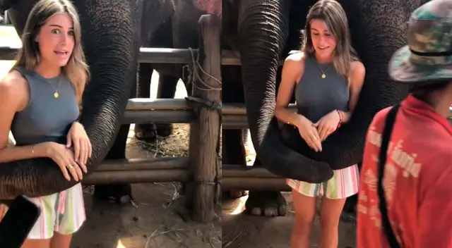Usuaria española es viral tras registrar un curioso hecho al tomarse fotos con un elefante en Tailandia. Usuaria española es viral tras registrar un curioso hecho al tomarse fotos con un elefante en Tailandia.