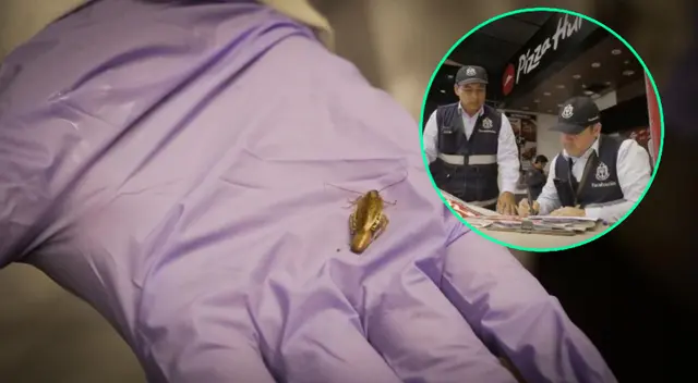 Encuentran insectos en local de Pizza Hut en San Isidro.