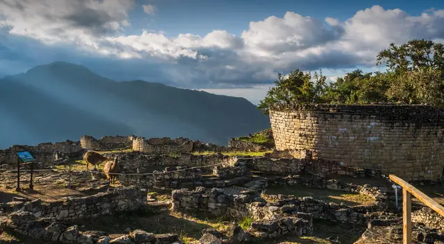 Fortaleza de Kuélap fue reconstruido tras derrumbe. Fortaleza de Kuélap fue reconstruido tras derrumbe.