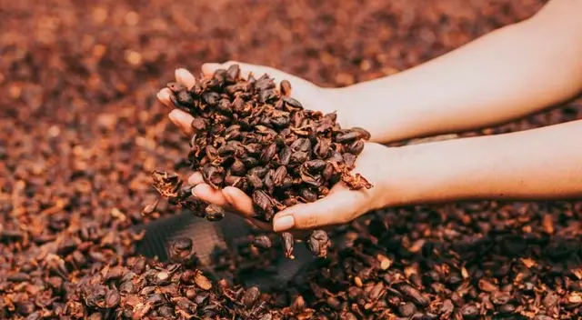Descubre los beneficios de la cáscara de café.