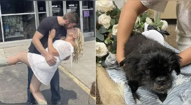 Pareja adelantó su boda y se casó en veterinaria para que su perrita esté presente