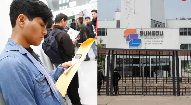 Profesionales escogidos por la Sunedu estarán bajo la modalidad CAS.