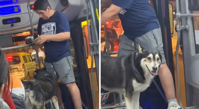 Un lomito enterneció en las redes por subirse a un bus con su dueño Un lomito enterneció en las redes por subirse a un bus con su dueño
