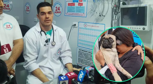 Revelan nuevos detalles sobre salud de perrita. Revelan nuevos detalles sobre salud de perrita.