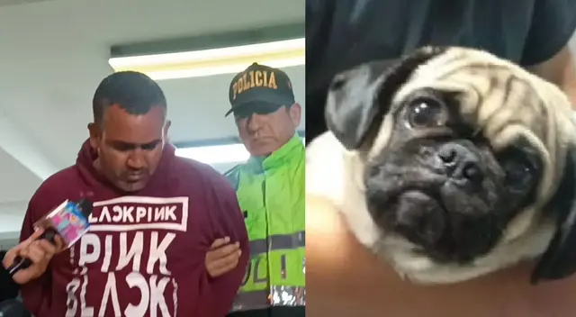 El caso de Dachi ha conmovido al país debido a la crueldad del hecho. El caso de Dachi ha conmovido al país debido a la crueldad del hecho.