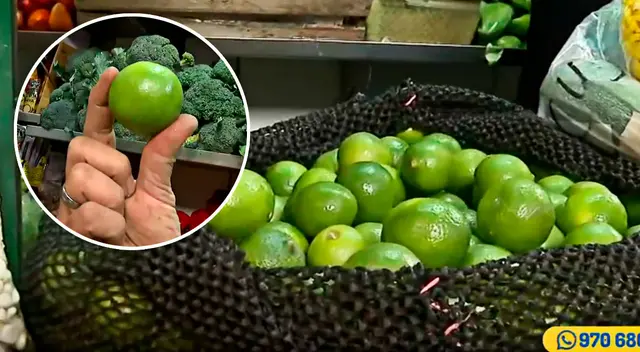 ¡Increíble! El precio del limón se dispara en Lima y ya está a S/ 1.20 la unidad. ¡Increíble! El precio del limón se dispara en Lima y ya está a S/ 1.20 la unidad.