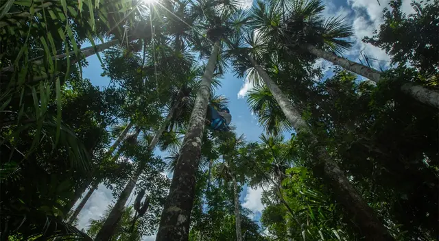 Comunidades indígenas