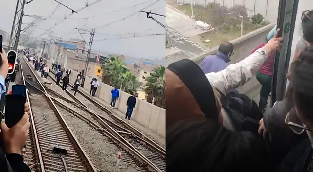 Usuarios bajan del tren arriesgando su vida y caminan por los rieles.