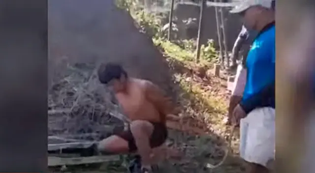 Ronderos castigan a sujeto por robar animales y alimentos en Oxapampa. Ronderos castigan a sujeto por robar animales y alimentos en Oxapampa.