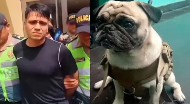 El estudiante Giusseppe Miani Escobar continúa detenido en la comisaría de Chacra Colorada El estudiante Giusseppe Miani Escobar continúa detenido en la comisaría de Chacra Colorada