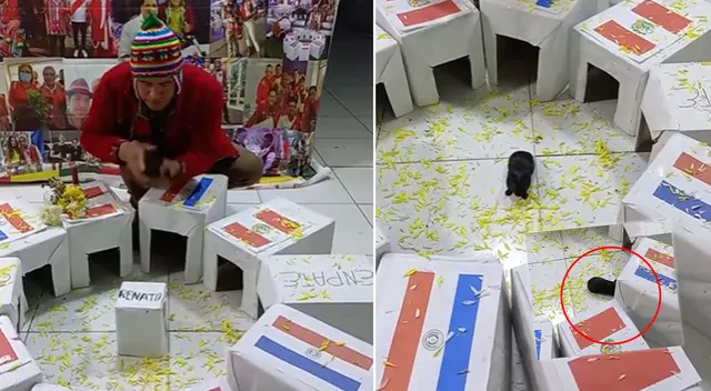 La escena se ha vuelto viral en internet.