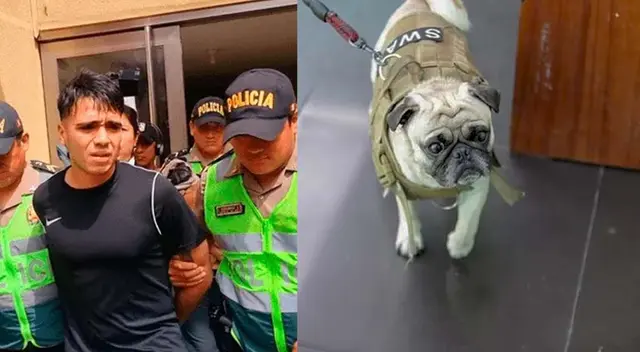 El sujeto se acogió a la terminación anticipada y confesó su delito. El sujeto se acogió a la terminación anticipada y confesó su delito.