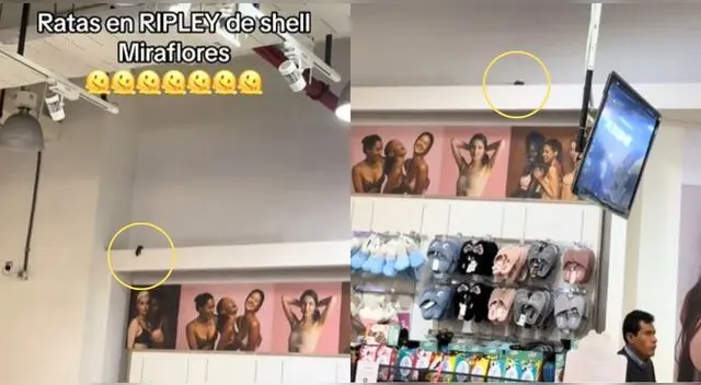 Peruana ve una rata en Ripley de Miraflores y desata debate en TikTok. Peruana ve una rata en Ripley de Miraflores y desata debate en TikTok.