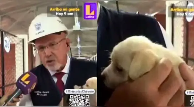 Carlos Bruce, alcalde de Surco, es vomitado EN VIVO por cachorrito y es viral en reds sociales.
