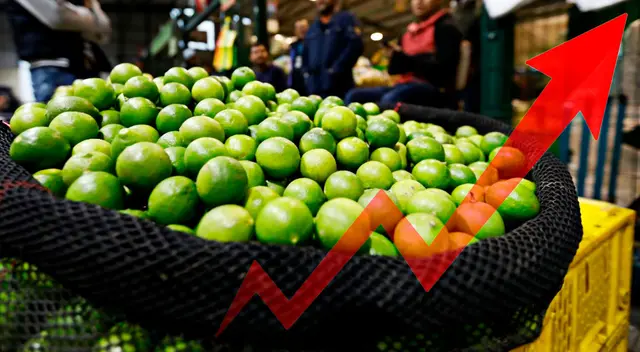 El precio del limón sigue en aumento en Perú y ya alcanzó los S/ 600 el saco. El precio del limón sigue en aumento en Perú y ya alcanzó los S/ 600 el saco.