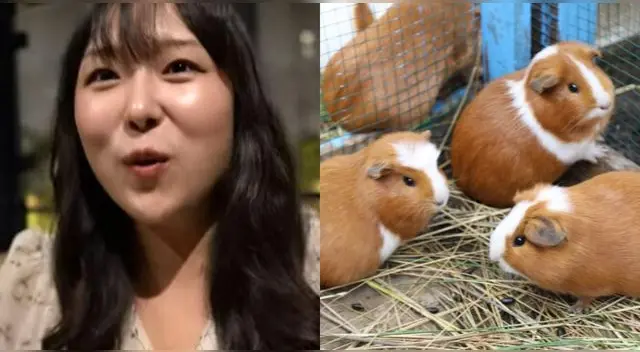 Coreanas llegan a Perú y quedan sorprendidas al saber que el cuy se come.