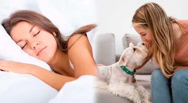 Descubre el significado de soñar con tu mascota fallecida. Descubre el significado de soñar con tu mascota fallecida.