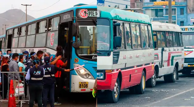 Descubre la empresa de transporte que hace la ruta Ancón - Pachacamac.