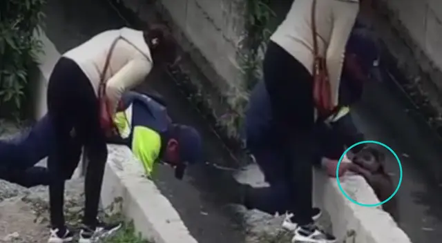 Serenos salva a perrito de morir ahogado en Chorrillos. Serenos salva a perrito de morir ahogado en Chorrillos.