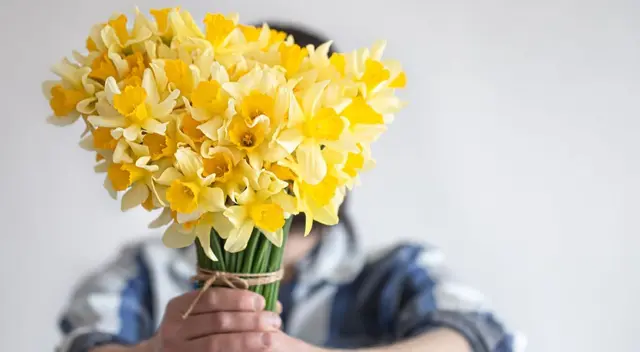 Conoce el verdadero significado de soñar que te regalan flores amarillas. Conoce el verdadero significado de soñar que te regalan flores amarillas.