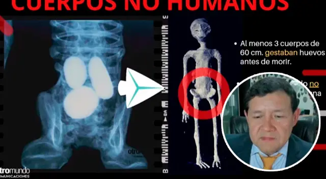 Continúa el debate sobre el supuesto descubrimiento de seres 'no humanos' en Cusco.