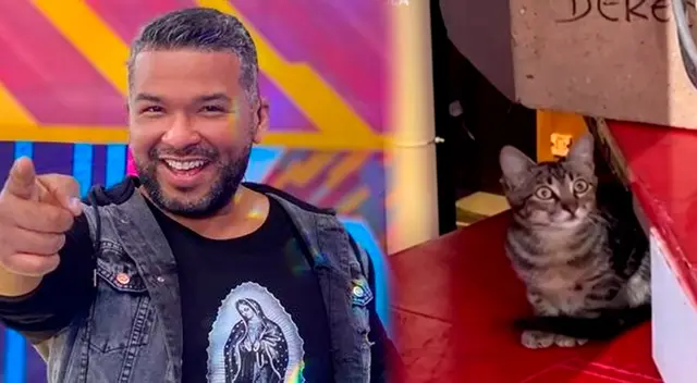 Un pequeño felino se adueñó del set de 'Estás en todas'. Un pequeño felino se adueñó del set de 'Estás en todas'.