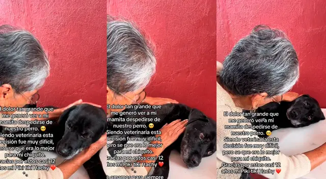 Señora se despidió de su perrito y conmovió en las redes sociales. Señora se despidió de su perrito y conmovió en las redes sociales.