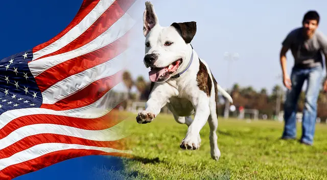 Conoce los requisitos que ofrece un empleo en Phoenix , Estados Unidos. Conoce los requisitos que ofrece un empleo en Phoenix , Estados Unidos.