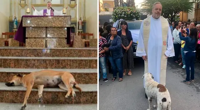 Un sacerdote brasileño se volvió viral al ofrecer durante misa la adopción de los canes que recorren la iglesia. Un sacerdote brasileño se volvió viral al ofrecer durante misa la adopción de los canes que recorren la iglesia.