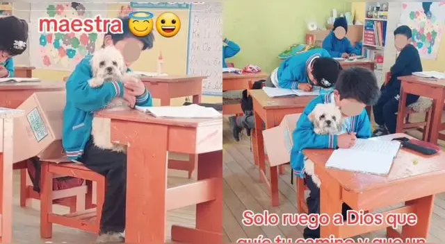 Profesora peruana permite que su alumno asista a clases con su perrito y causa ternura.