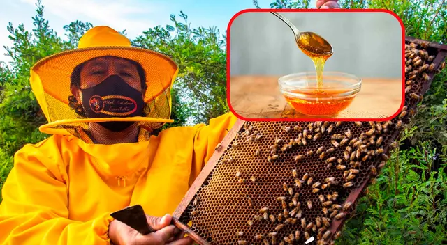 Mujeres emprendedoras comercializan miel de abeja en Piura por el programa de Midagri. Mujeres emprendedoras comercializan miel de abeja en Piura por el programa de Midagri.