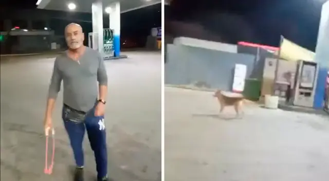 Un hombre fue registrado agrediendo a un can de la calle y generó rechazo en las redes sociales.