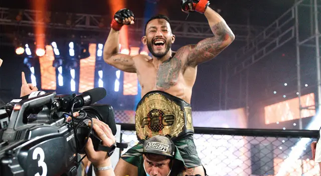 Artes marciales mixtas