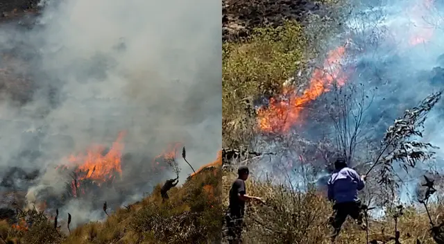 Incendio forestal en la región de Piura lleva 3 días.
