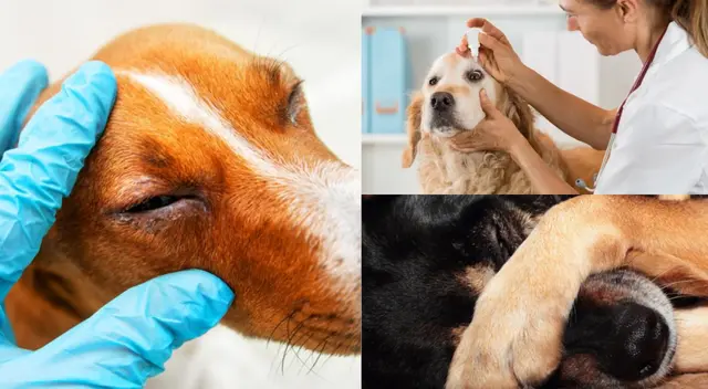 Todo medicamento debe ser recetado por un especialista.